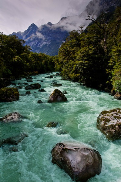 New Zealand 063